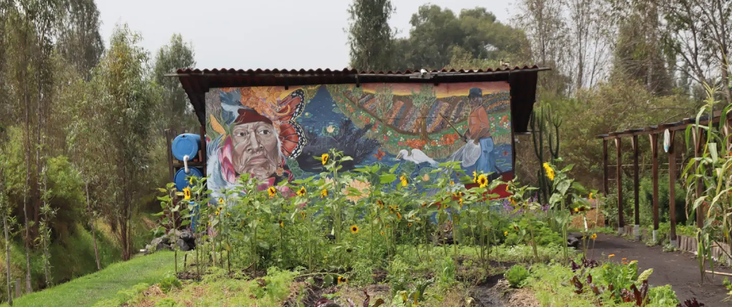 Xochimilco Cultural Tour: Canoe at dawn, meet an axolotl, ancestral chinampa farming, organic lunch.