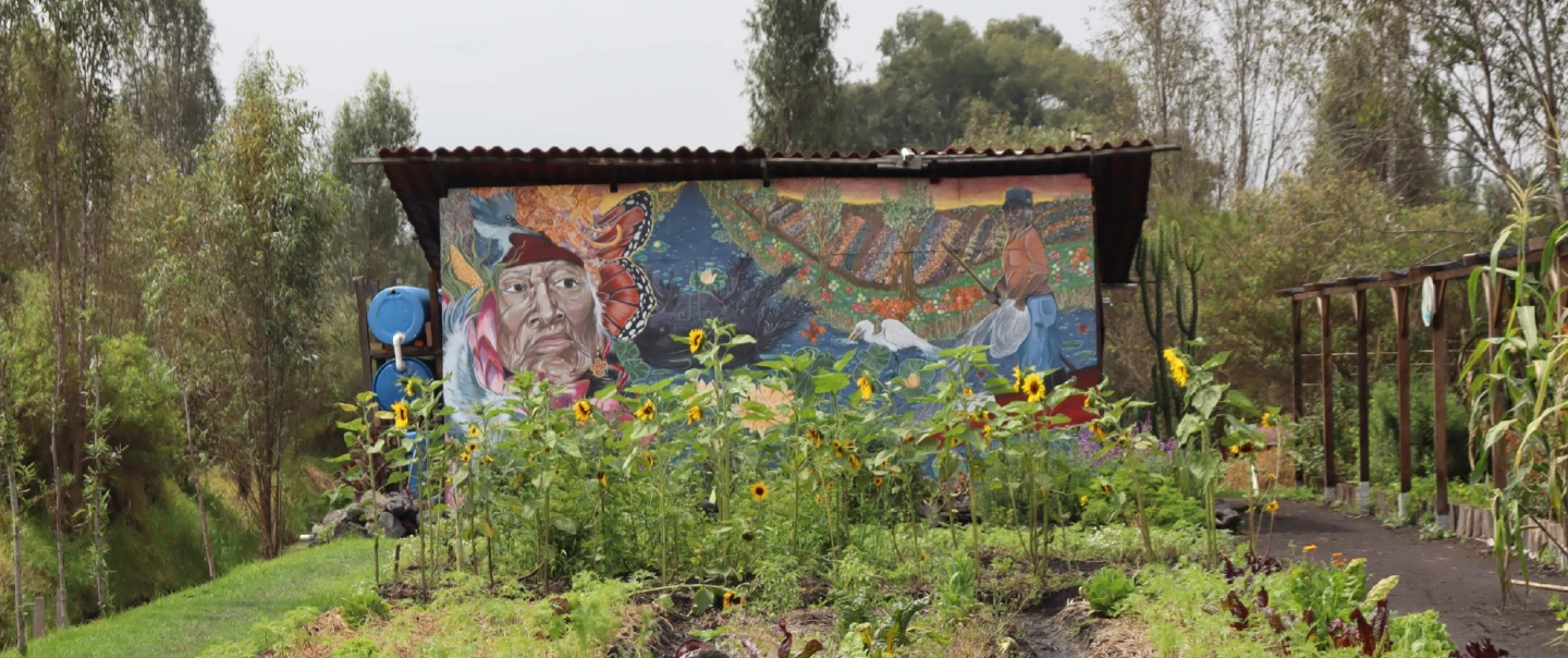 Xochimilco Cultural Tour: Canoe at dawn, meet an axolotl, ancestral chinampa farming, organic lunch.