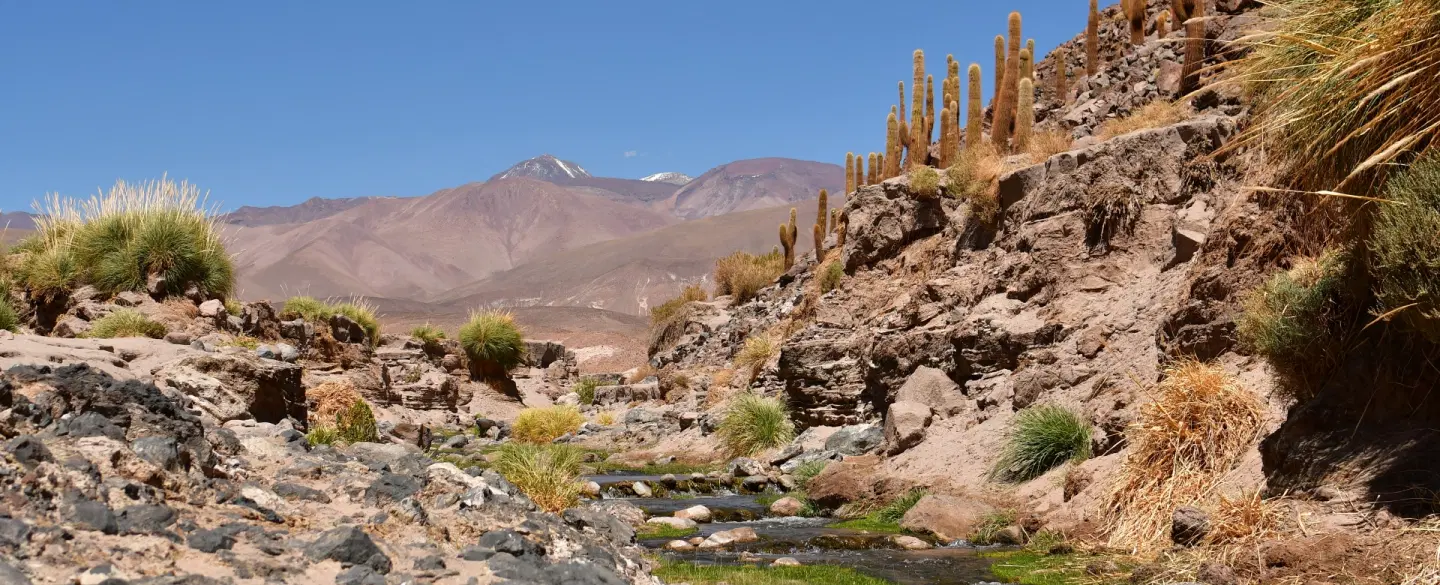 Cactus Canyon Hike near San Pedro de Atacama: volcanic terrain, river crossings, and expert guide.