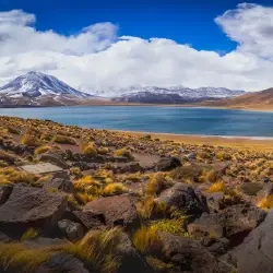 Woven in the Andes
