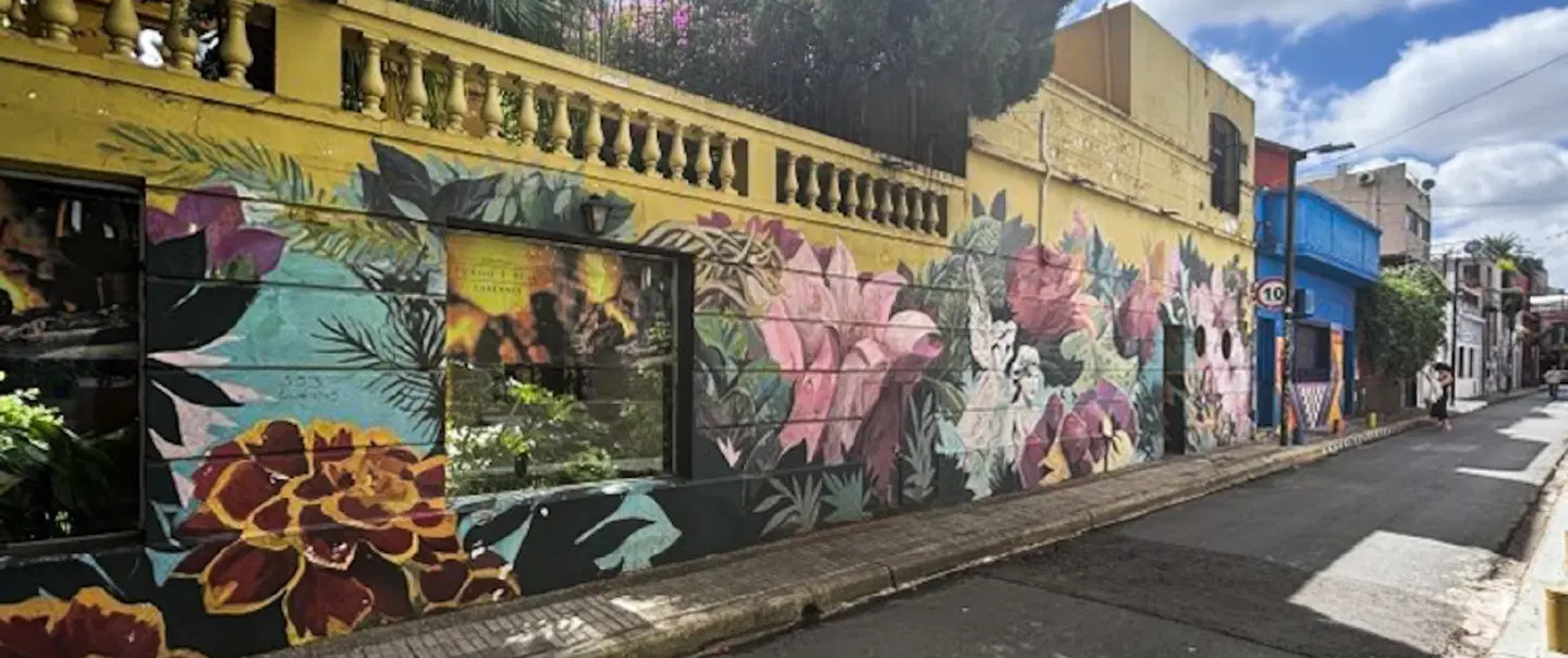 Street Art Walking Tour in Palermo Soho, Buenos Aires—exploring local and global street art history.