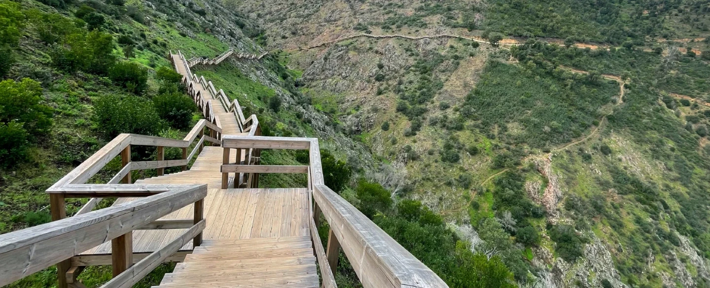Algarve Hiking and Olive Oil Tour in Monchique near Lagos with suspension bridge, mill and tapas.