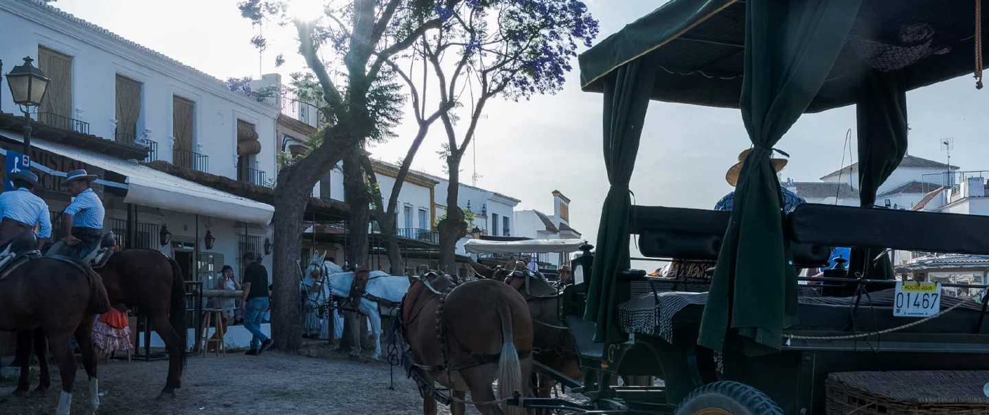 Cultural Tour of El Rocío from Seville with carriage ride, Doñana visit, Andalusian lunch, flamenco.