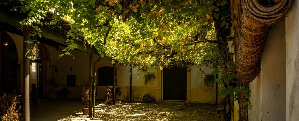 A Jerez day with a brotherhood host — sacred embroidery workshop, sherry-house lunch, two Camarines.