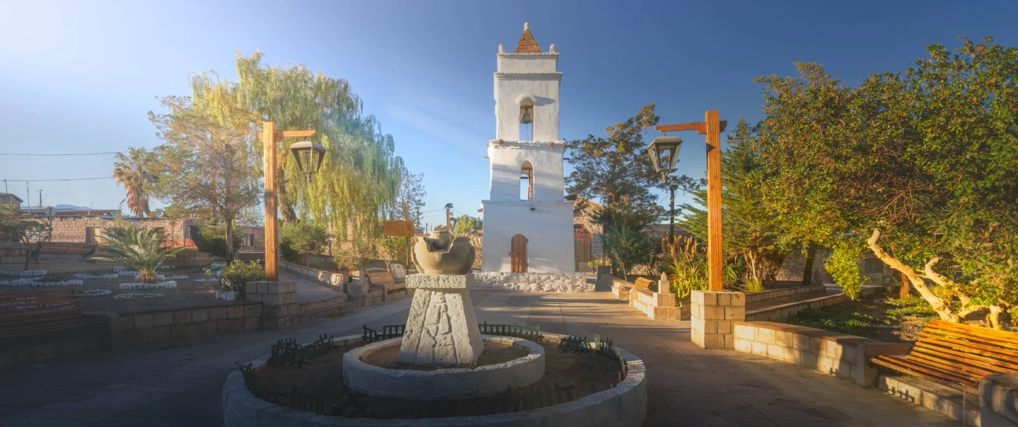 Salar de Atacama & Toconao Tour from San Pedro: Chaxa flamingos, high-altitude wine and llama walk.