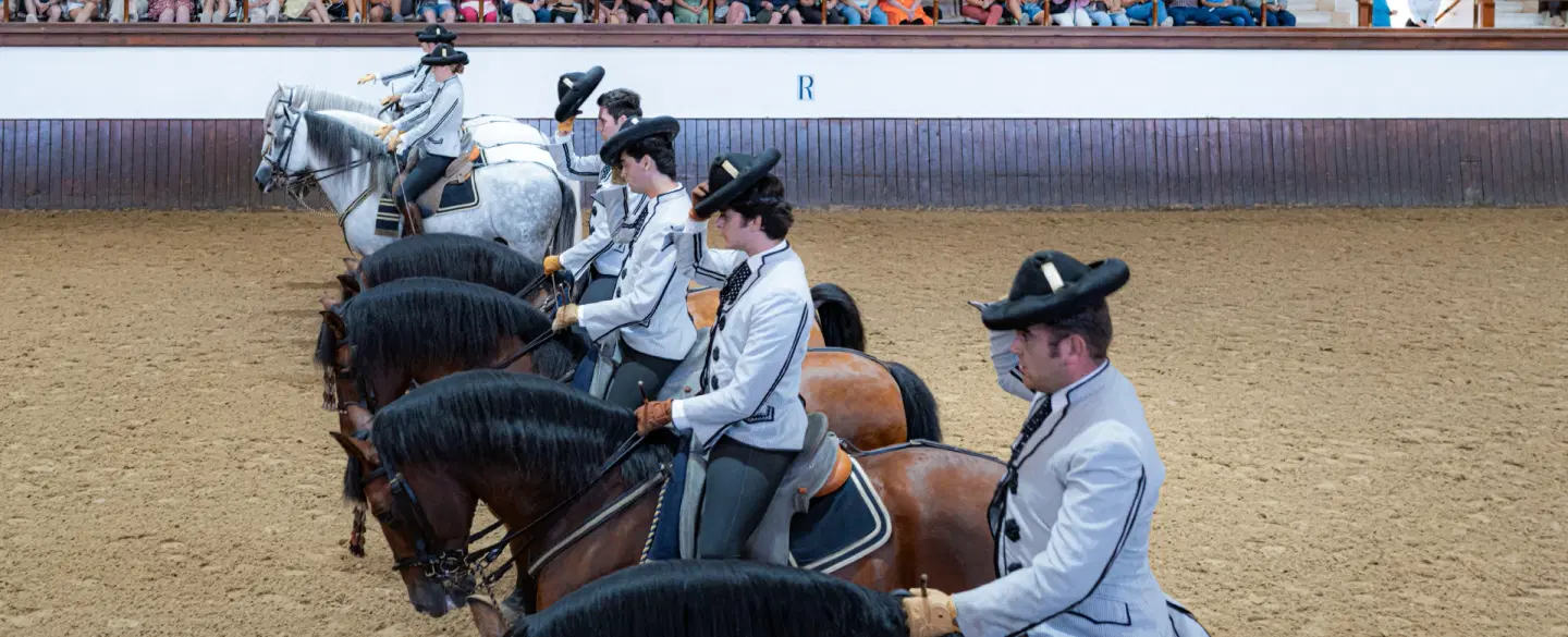 Cultural Tour of Jerez near Cadiz or Seville with Sherry Tasting, Equestrian Art, Flamenco Show.