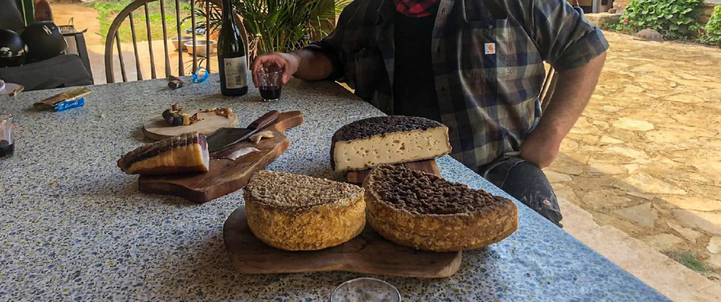 Day Trip in Istria exploring truffle hunting, Motovun forest, goat cheese, and farm tastings.