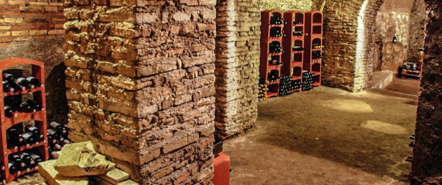 Wine Tasting in Rome, in a private wine club with an expert Italian sommelier guiding the session.