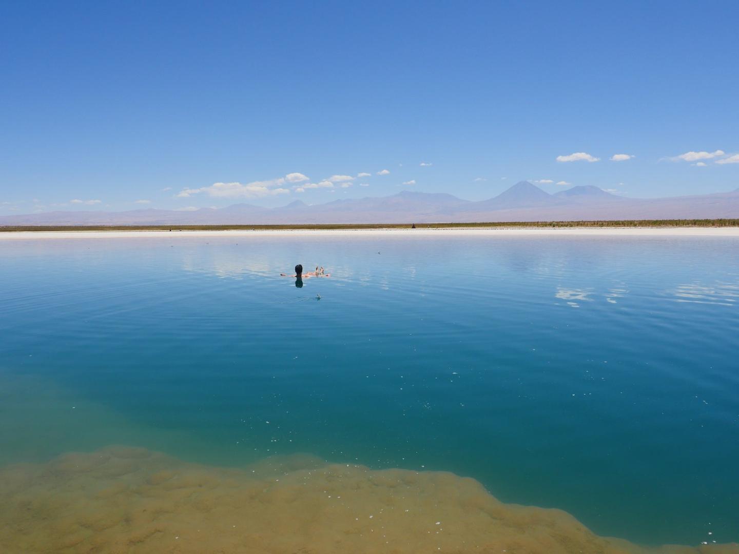 3 days in the Atacama Desert exploring clay, salt flats, flamingos, stars, geysers, and springs.