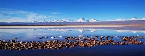 Photo Tour of saline lagoons, salt flats and flamingos in Atacama Desert from San Pedro de Atacama.
