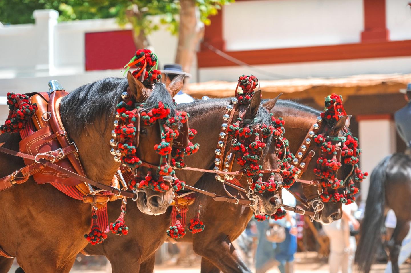 3-day itinerary in Cádiz blending Moorish history, flamenco traditions, sherry, sea-slowed meals.